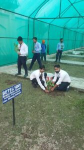 environment day