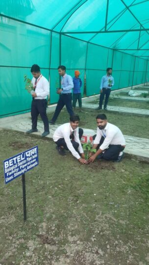 environment day